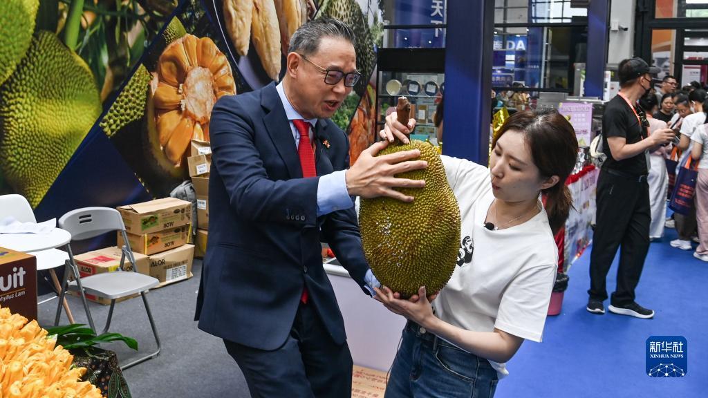 开户送白菜的网站大全