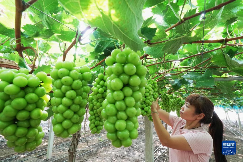 噢门银河国际